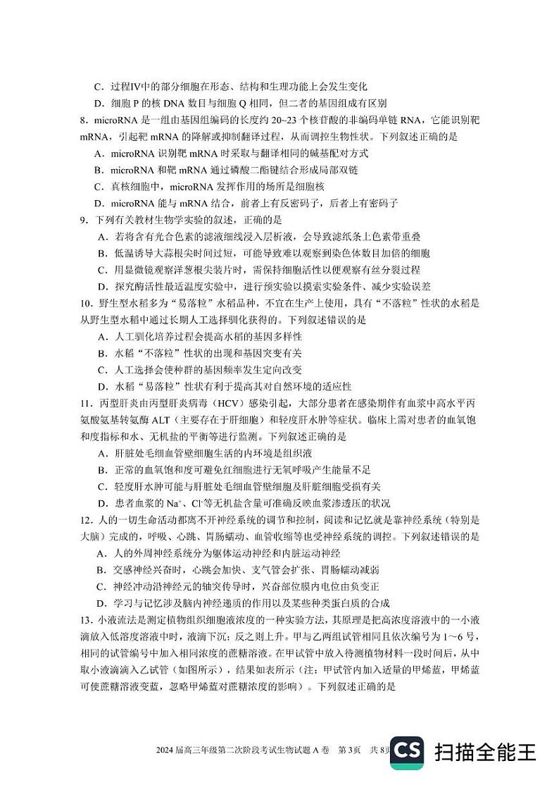 广东省深圳市罗湖区深圳中学2024-2025学年高三上学期12月月考生物试题第3页