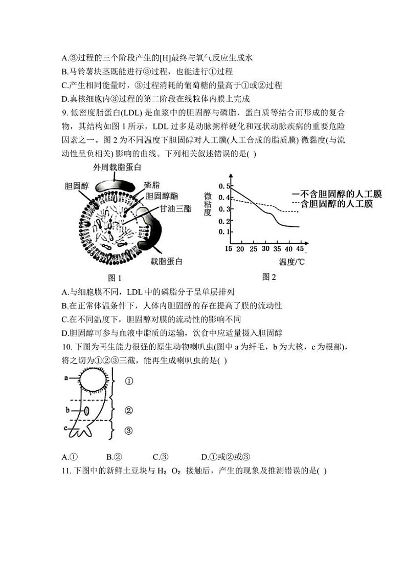 2024~2025学年甘肃省兰州市城关区兰州第一中学高一(上)12月月考生物试卷(含答案)第3页