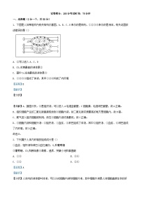 四川省内江市2023_2024学年高二生物上学期期中试题含解析