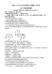 河北省邢台市第一中学2024-2025学年高二上学期11月月考生物试题(Word版附答案)