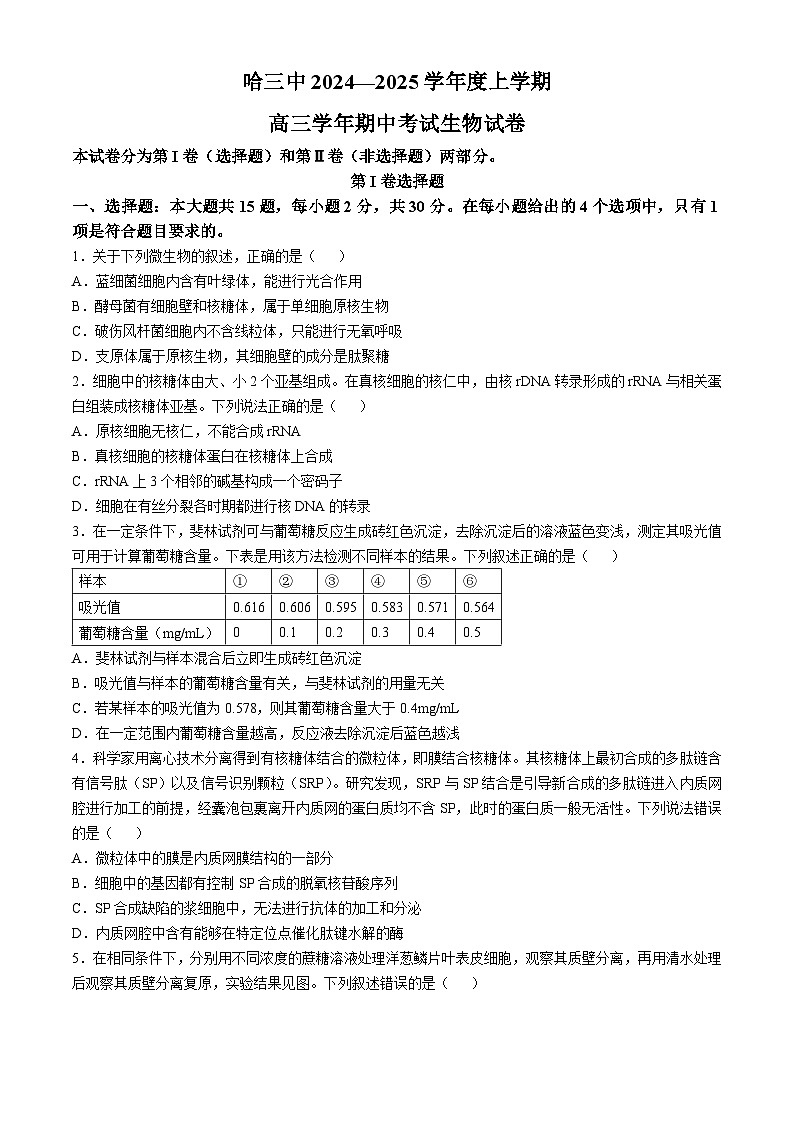 黑龍江省哈爾濱市第三中學2024-2025學年高三上學期期中考試生物試題（Word版附解析）第1頁