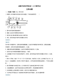 四川省成都外国语学校2024-2025学年高二上学期期中检测生物试题（Word版附解析）