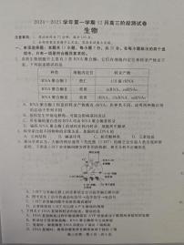 河北省张家口市尚义县第一中学等校2024-2025学年高三上学期12月月考生物试题
