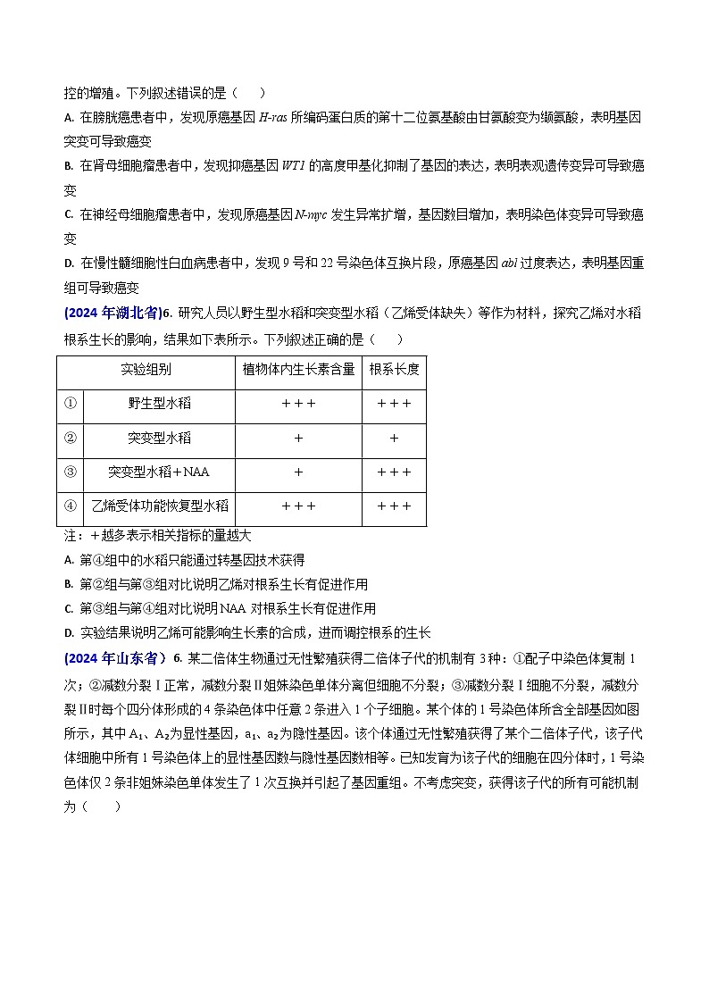 专题10 变异与育种-【真题汇编】2024年高考生物真题和模拟题分类汇编(学生卷)第2页