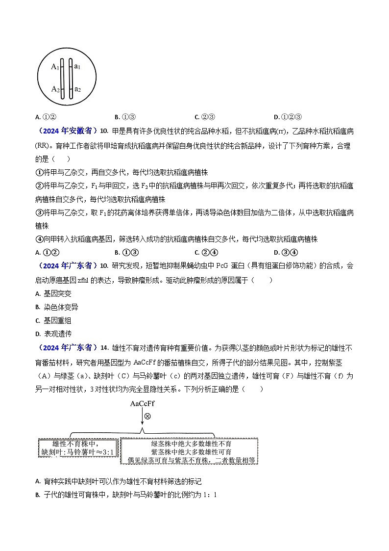 专题10 变异与育种-【真题汇编】2024年高考生物真题和模拟题分类汇编(学生卷)第3页