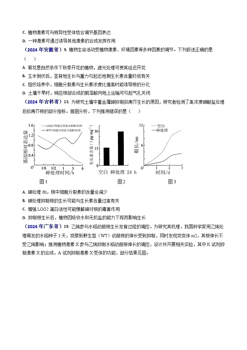 专题14 植物激素调节【真题汇编】2024年高考生物真题和模拟题分类汇编(学生卷)第2页