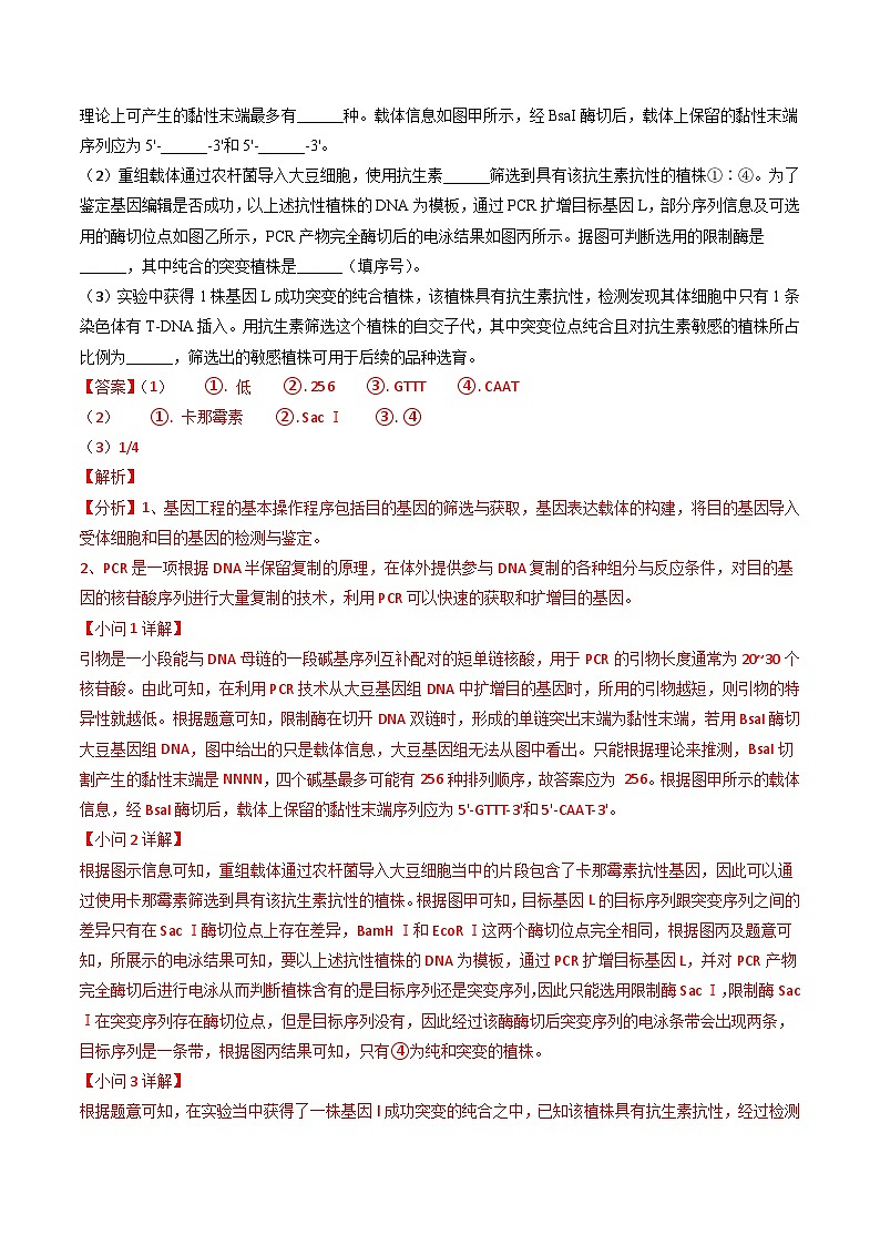 专题18 基因工程【真题汇编】2024年高考生物真题和模拟题分类汇编(教师卷)第3页