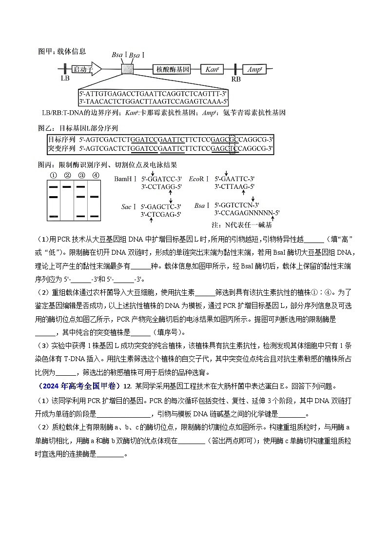 专题18 基因工程【真题汇编】2024年高考生物真题和模拟题分类汇编(学生卷)第2页