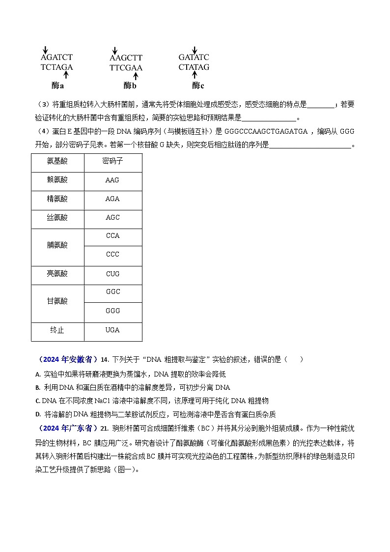 专题18 基因工程【真题汇编】2024年高考生物真题和模拟题分类汇编(学生卷)第3页