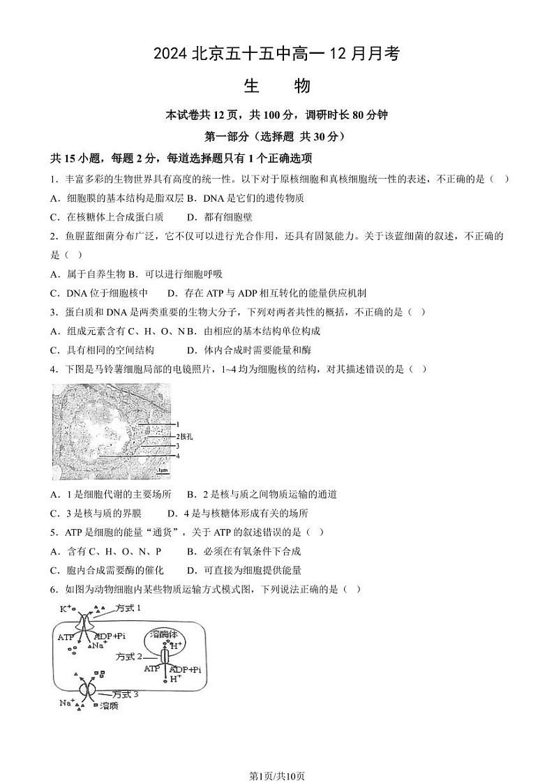 2024北京五十五中高一(上)12月月考生物试题及答案第1页