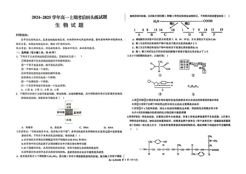 河南省周口市项城市项城市第一高级中学2024-2025学年高一上学期12月月考生物试题第1页
