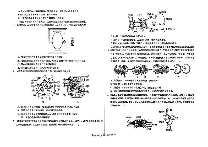 河南省周口市项城市项城市第一高级中学2024-2025学年高一上学期12月月考生物试题第2页