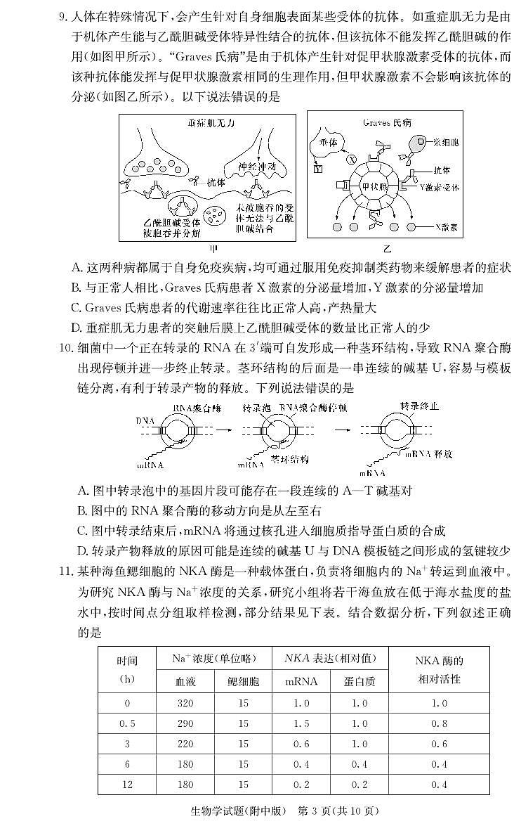 2025湖南师大附中高三上学期月考卷(四)生物PDF版含解析第3页