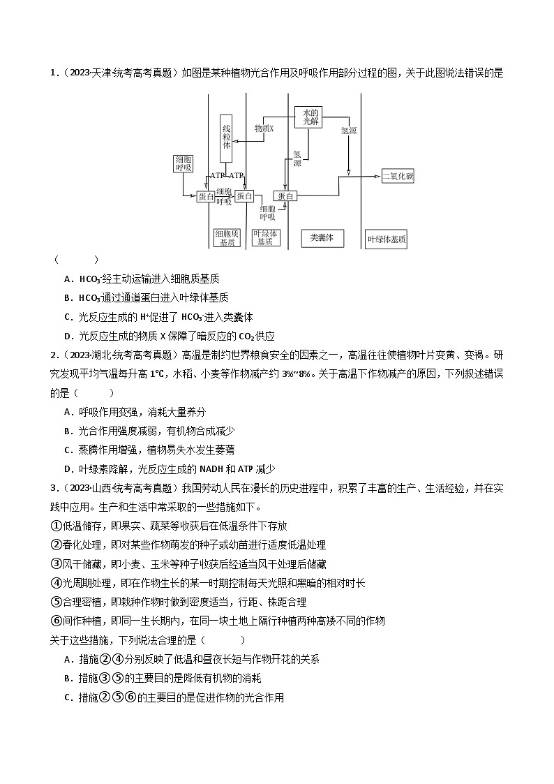 专题07 细胞代谢的综合(原卷卷)第2页