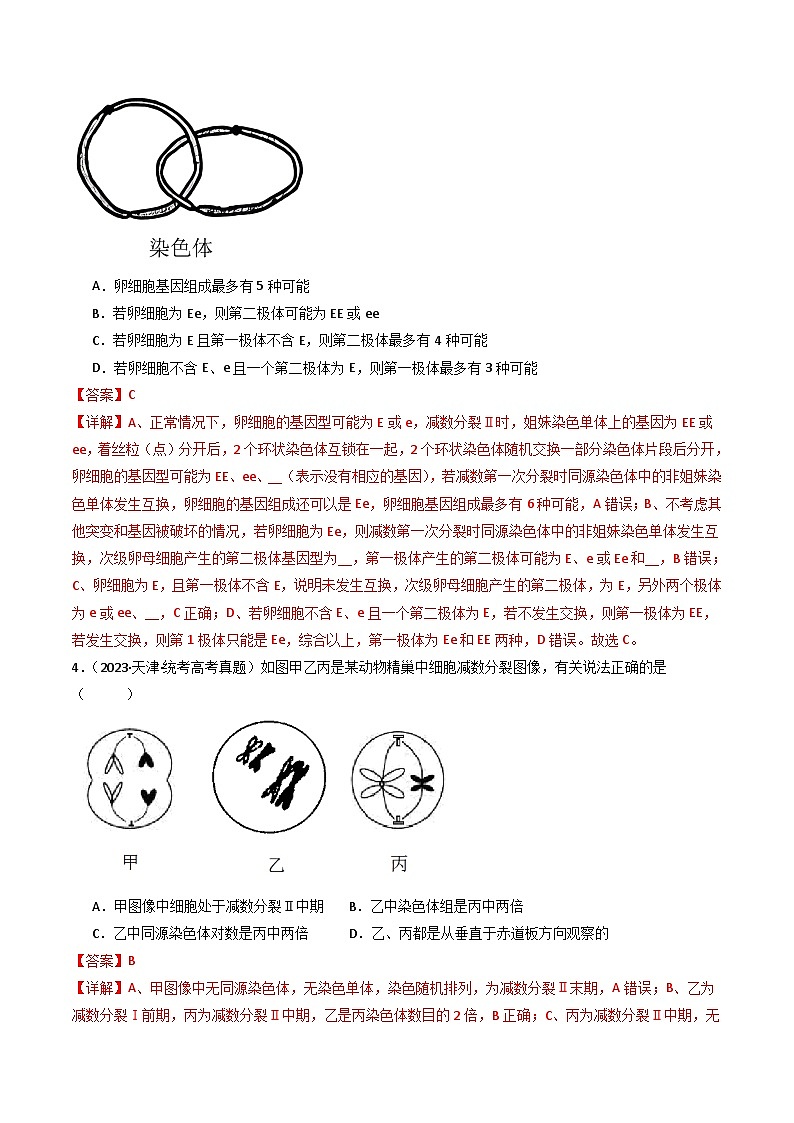 专题08 有丝分裂和减数分裂(解析卷)第3页