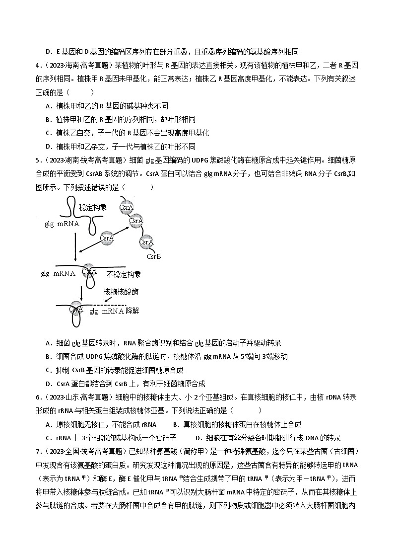 专题10 遗传的分子基础(原卷卷)第3页