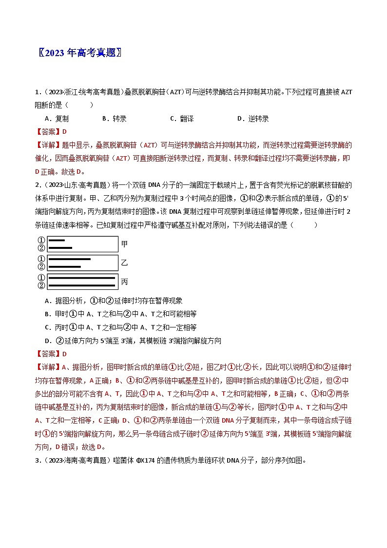 专题10 遗传的分子基础(解析卷)第2页