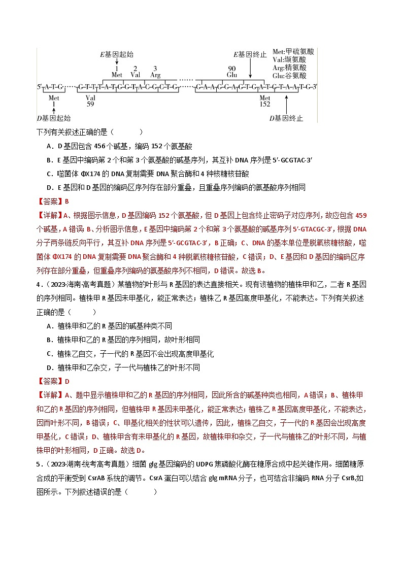 专题10 遗传的分子基础(解析卷)第3页
