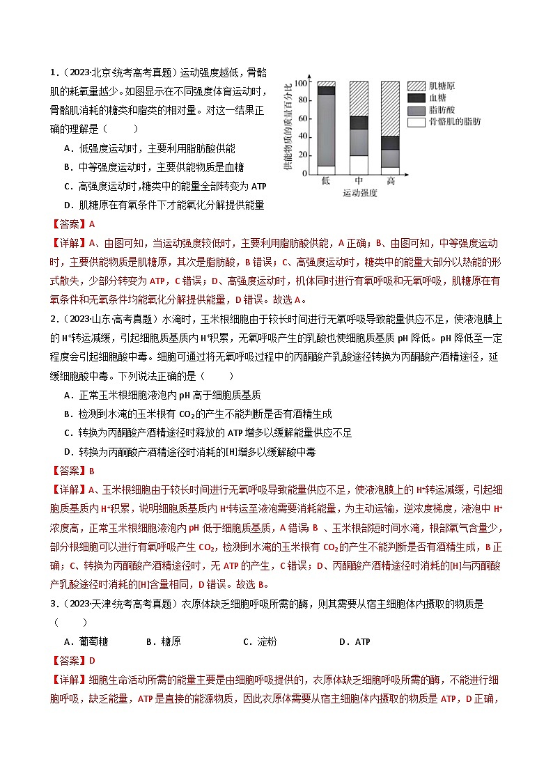 专题05 细胞呼吸(解析卷)第2页