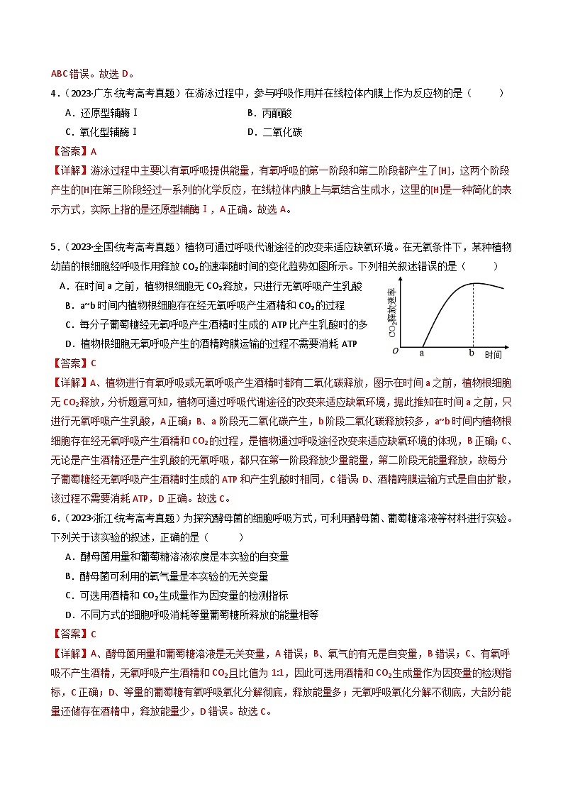 专题05 细胞呼吸(解析卷)第3页