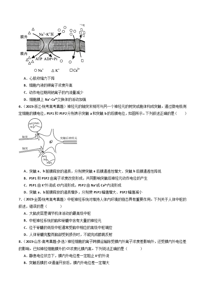 專題17 神經(jīng)調(diào)節(jié)（原卷卷）第3頁