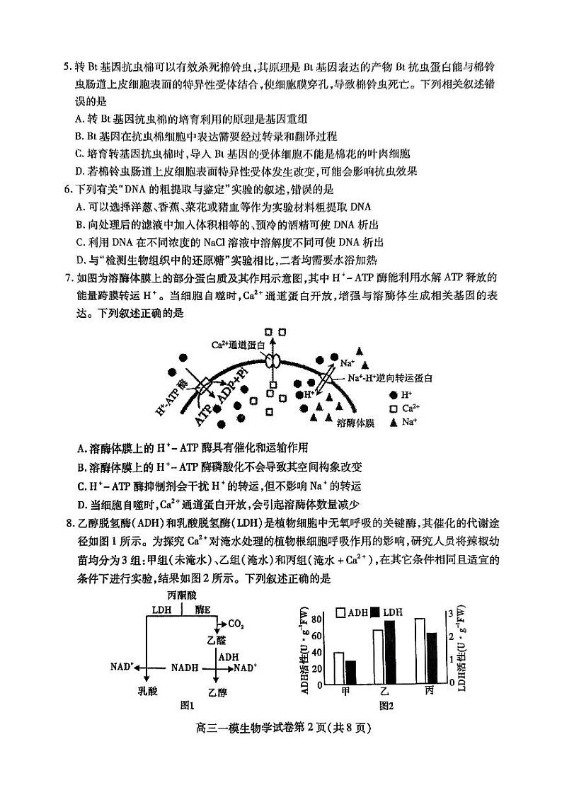四川省内江市高三上学期第一次模拟考试生物+答案第2页
