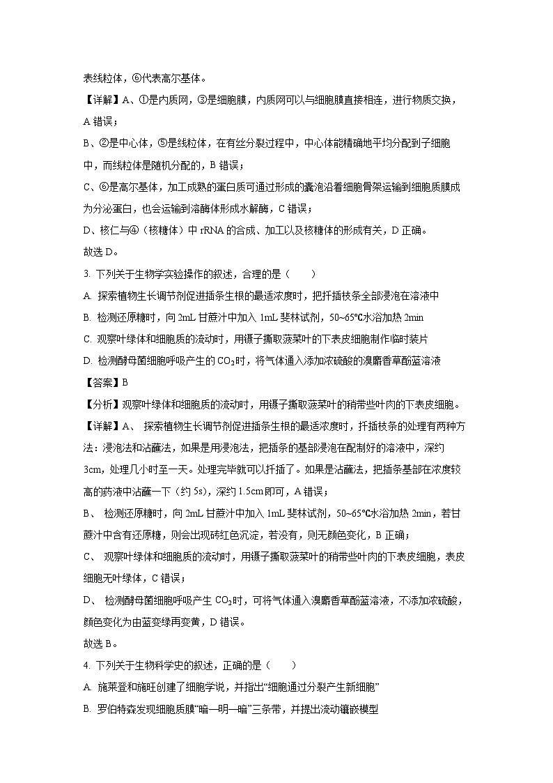 2024-2025学年江苏省连云港市高三(上)期中生物试卷(解析版)第2页