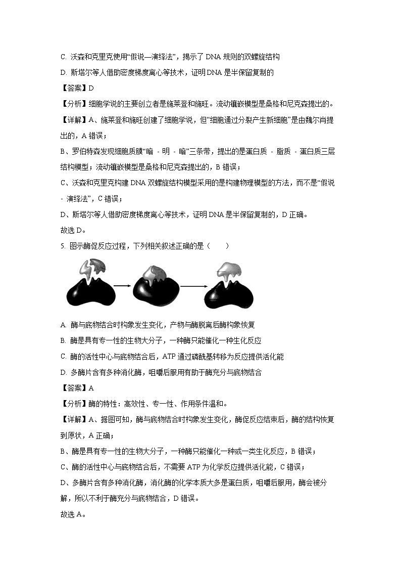 2024-2025学年江苏省连云港市高三(上)期中生物试卷(解析版)第3页