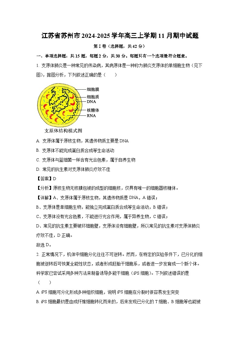 2024-2025学年江苏省苏州市高三(上)11月期中生物试卷(解析版)第1页