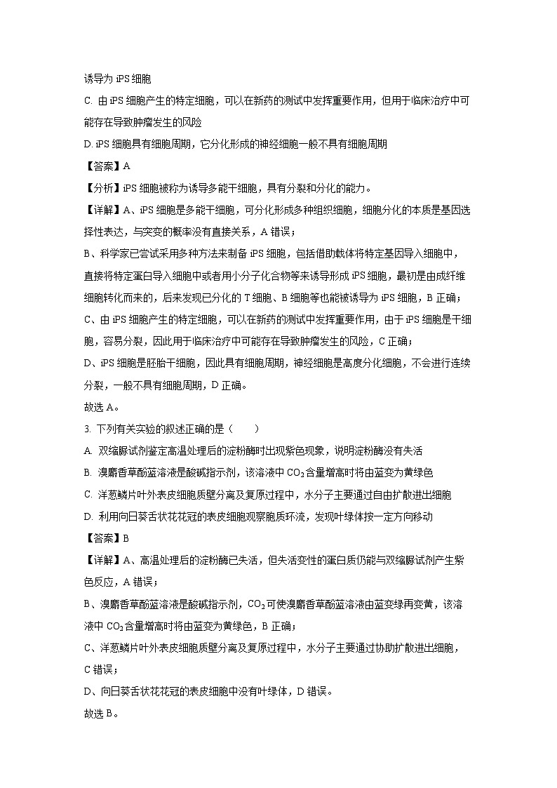 2024-2025学年江苏省苏州市高三(上)11月期中生物试卷(解析版)第2页