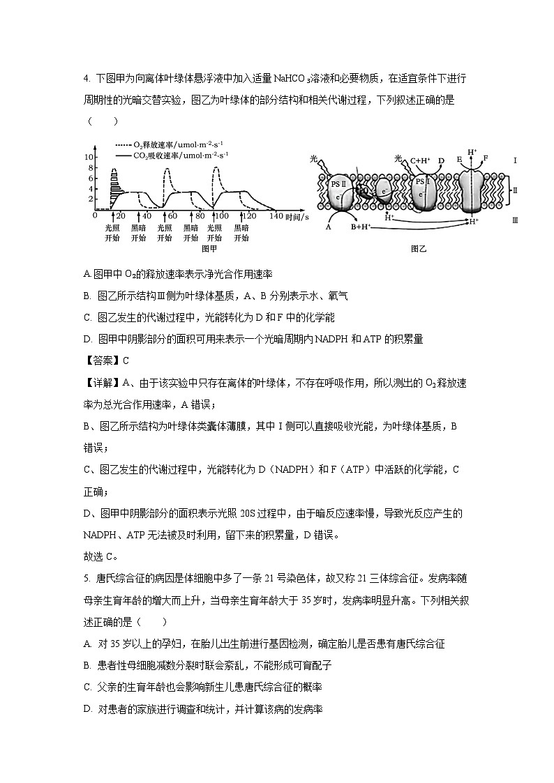 2024-2025学年江苏省苏州市高三(上)11月期中生物试卷(解析版)第3页