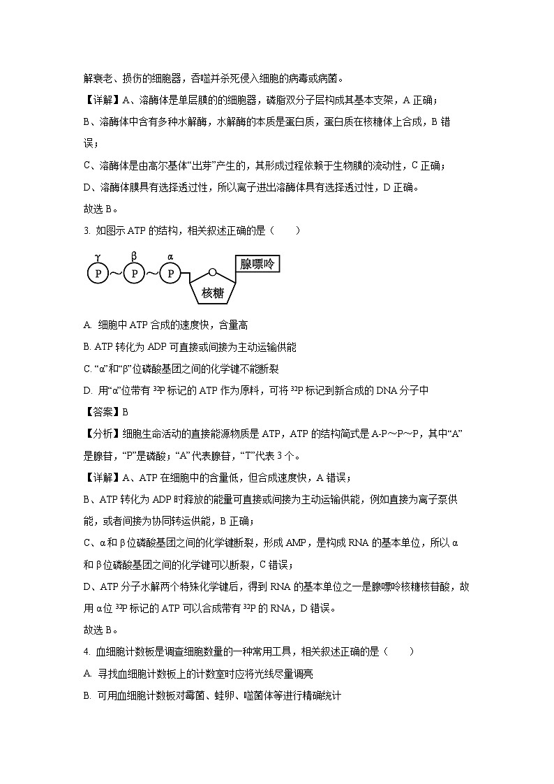 2024-2025学年江苏省淮阴中学高三(上)10月学情检测生物试卷(解析版)第2页
