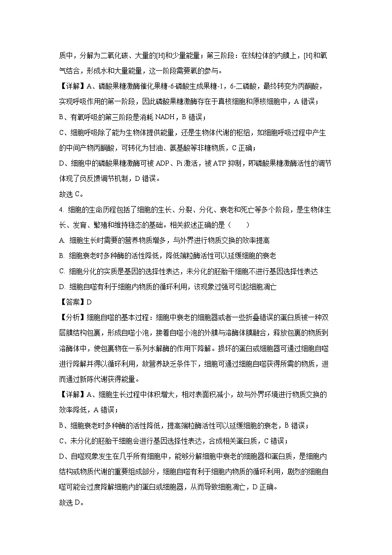 2024-2025学年江苏省海安高级中学高三(上)期中生物试卷(解析版)第3页