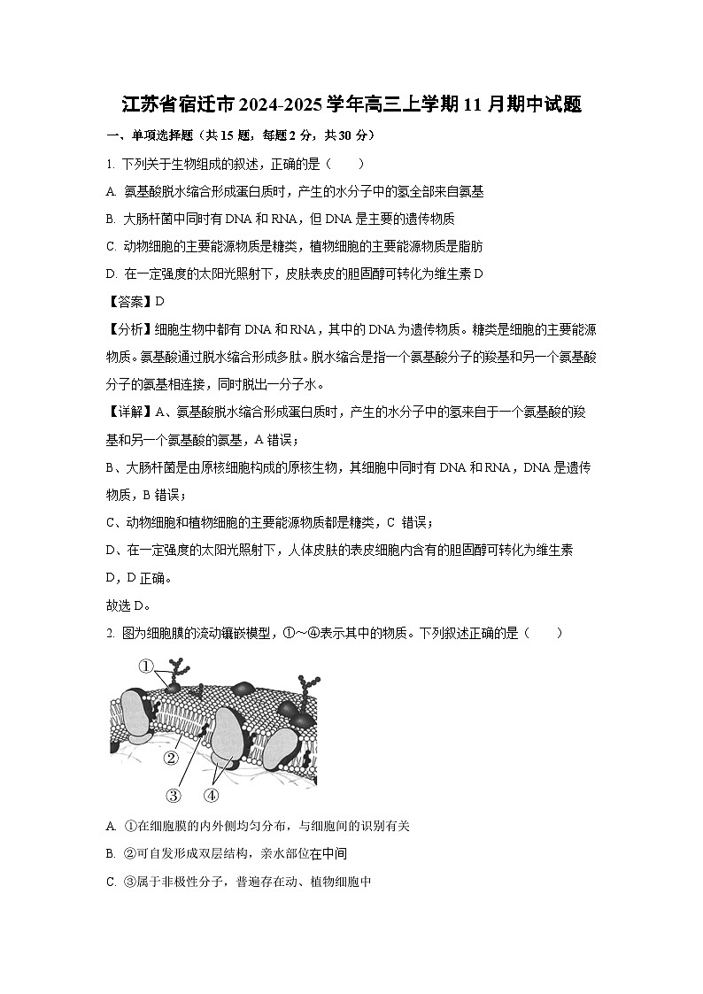 2024-2025学年江苏省宿迁市高三(上)11月期中生物试卷(解析版)第1页