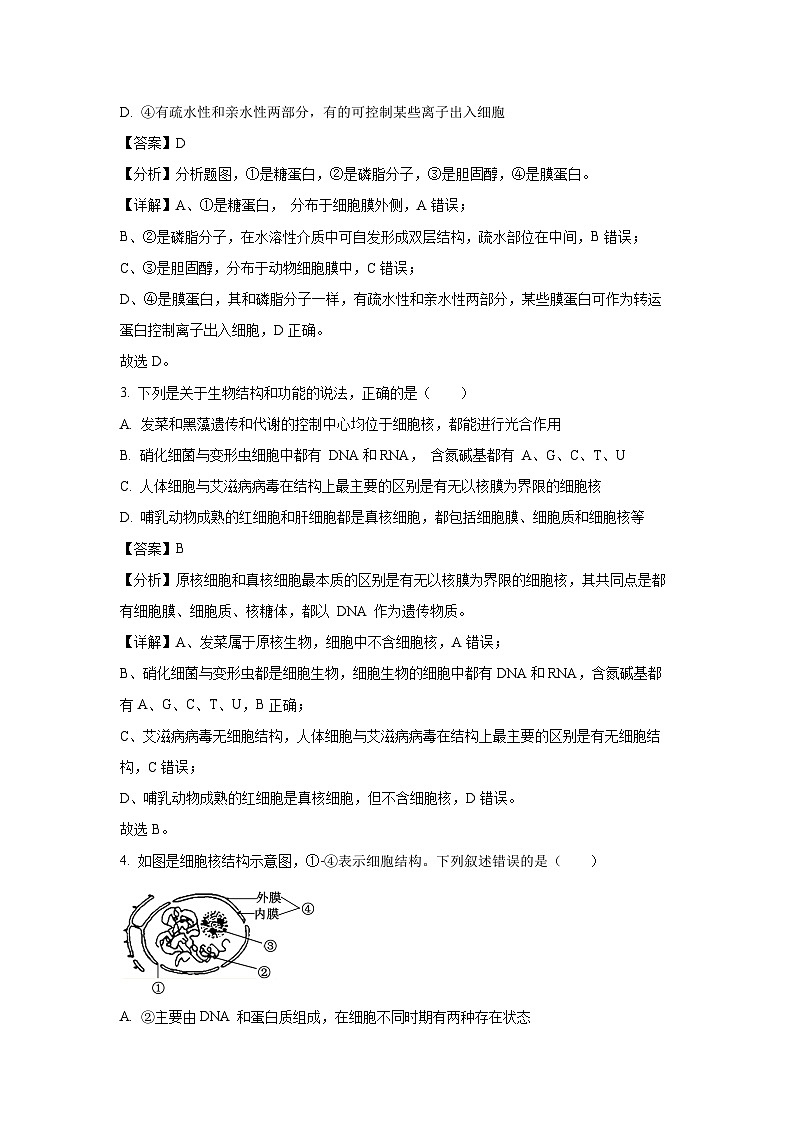2024-2025学年江苏省宿迁市高三(上)11月期中生物试卷(解析版)第2页