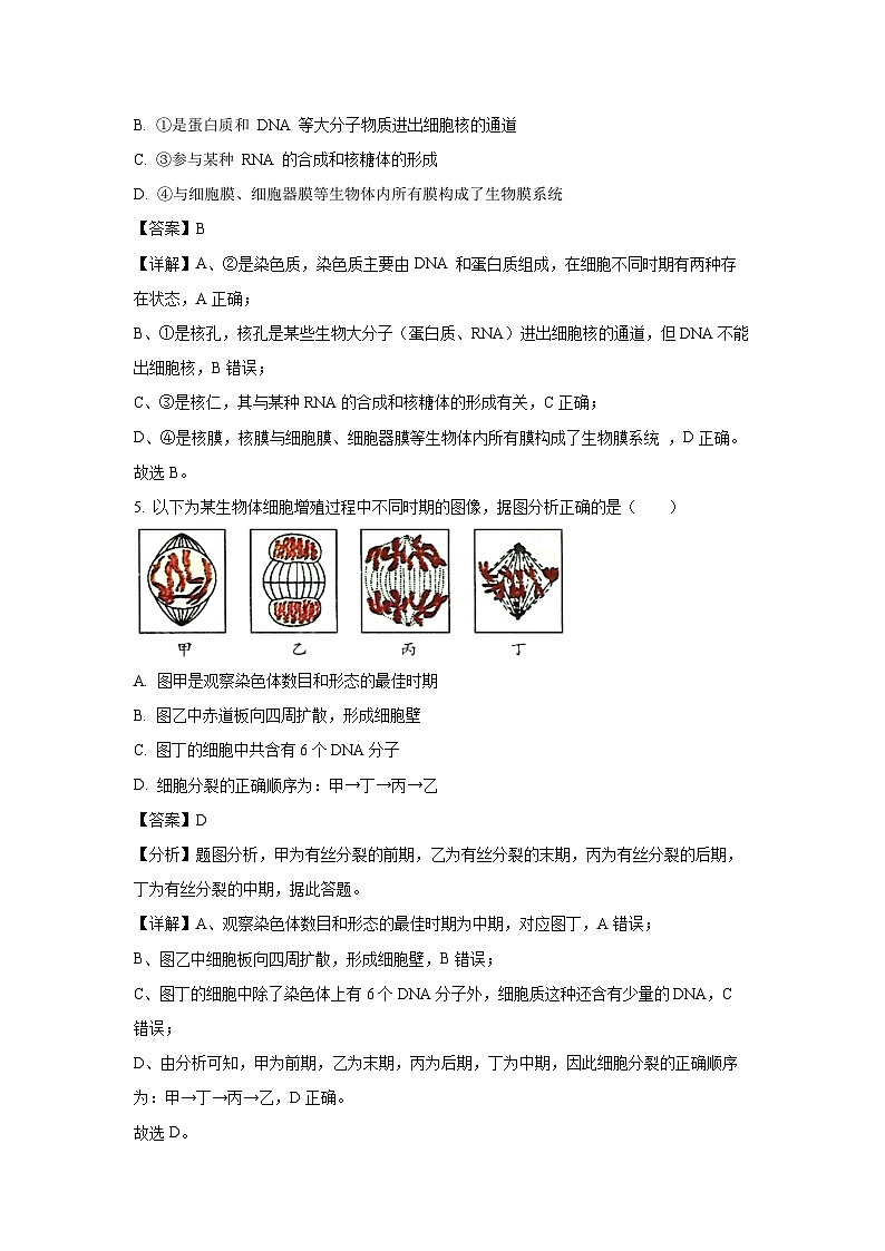 2024-2025学年江苏省宿迁市高三(上)11月期中生物试卷(解析版)第3页