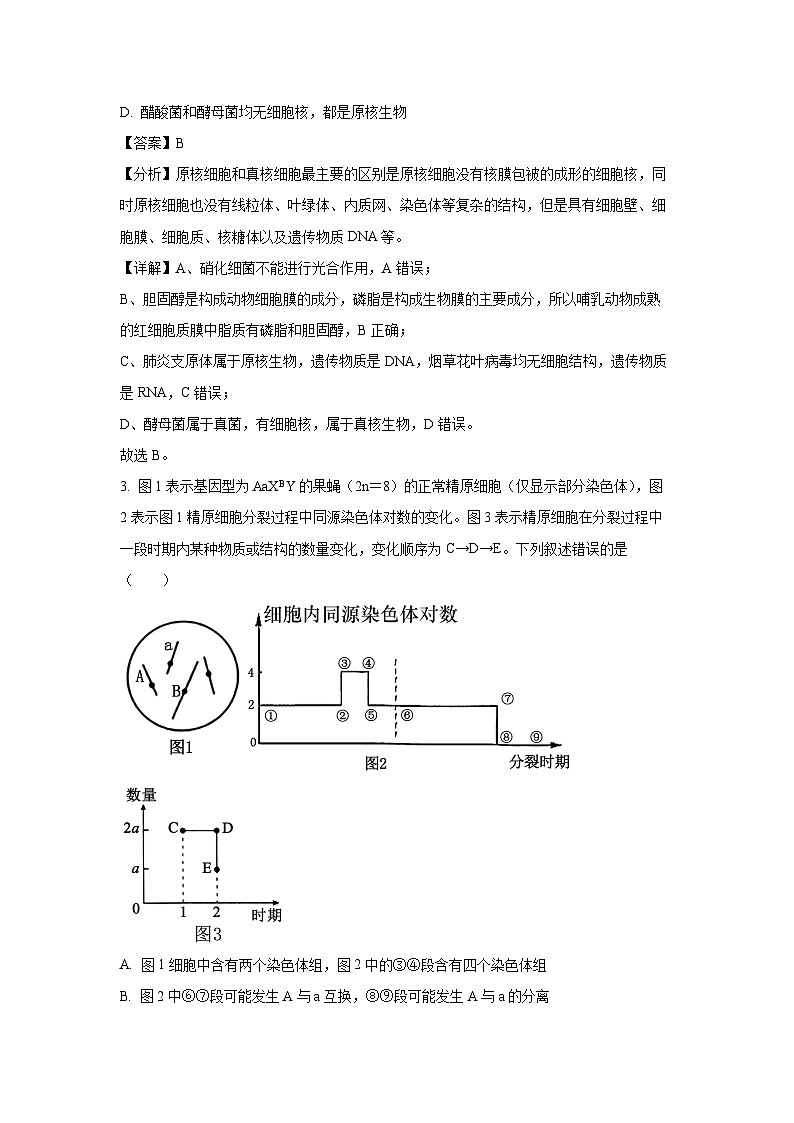 2024-2025学年江苏省南京市南京市六校联合体高三(上)10月期中生物试卷(解析版)第2页