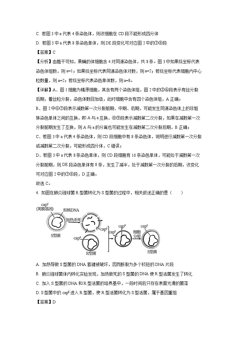 2024-2025学年江苏省南京市南京市六校联合体高三(上)10月期中生物试卷(解析版)第3页