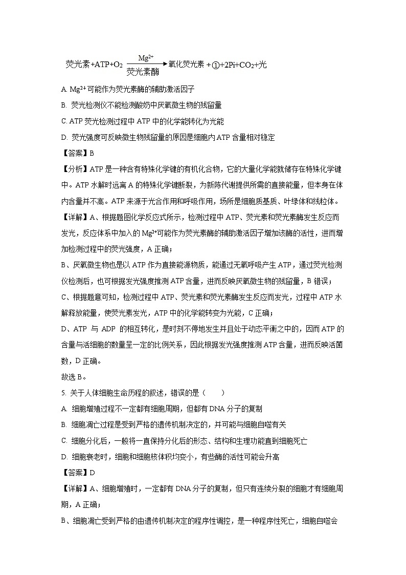2024-2025学年江苏省南京市协同体七校高三(上)期中联合生物试卷(解析版)第3页