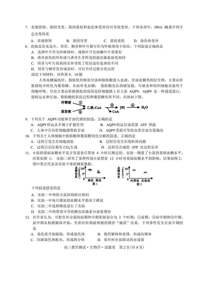 2024年浙江省嘉兴市高三(上)12月教学测试生物试卷(含答案)第2页