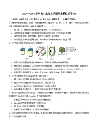 2024—2025学年高一生物人教版上学期期末模拟试卷02（含答案解析）