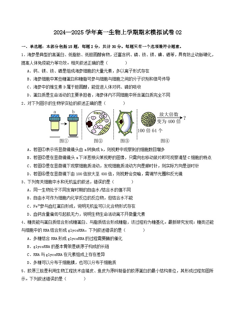 2024—2025学年高一生物人教版上学期期末模拟试卷02(含答案解析)第1页