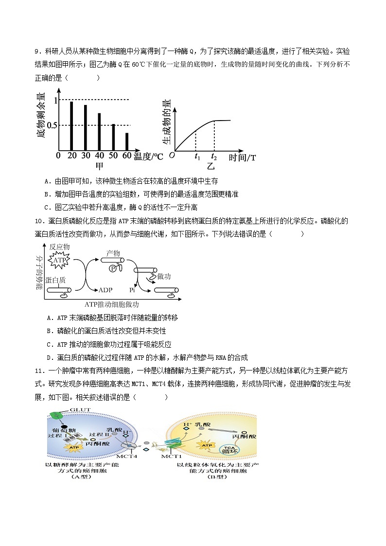 2024—2025学年高一生物人教版上学期期末模拟试卷02(含答案解析)第3页