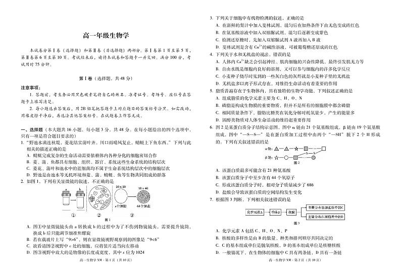 云南省西双版纳傣族自治州部分高中2024-2025学年高一上学期12月月考生物试题第1页