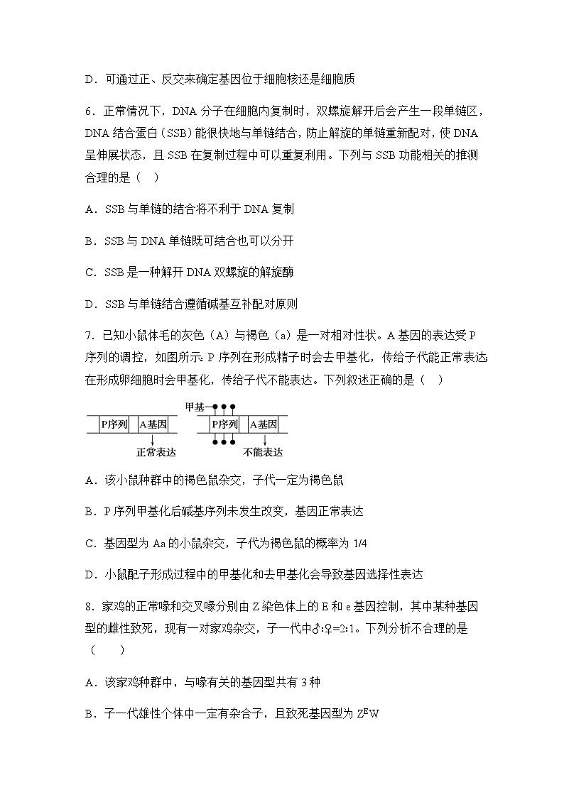 2025屆湖南省衡陽市衡陽縣第一中學高三上學期高考第一次模擬考試生物學試題(含答案）第3頁