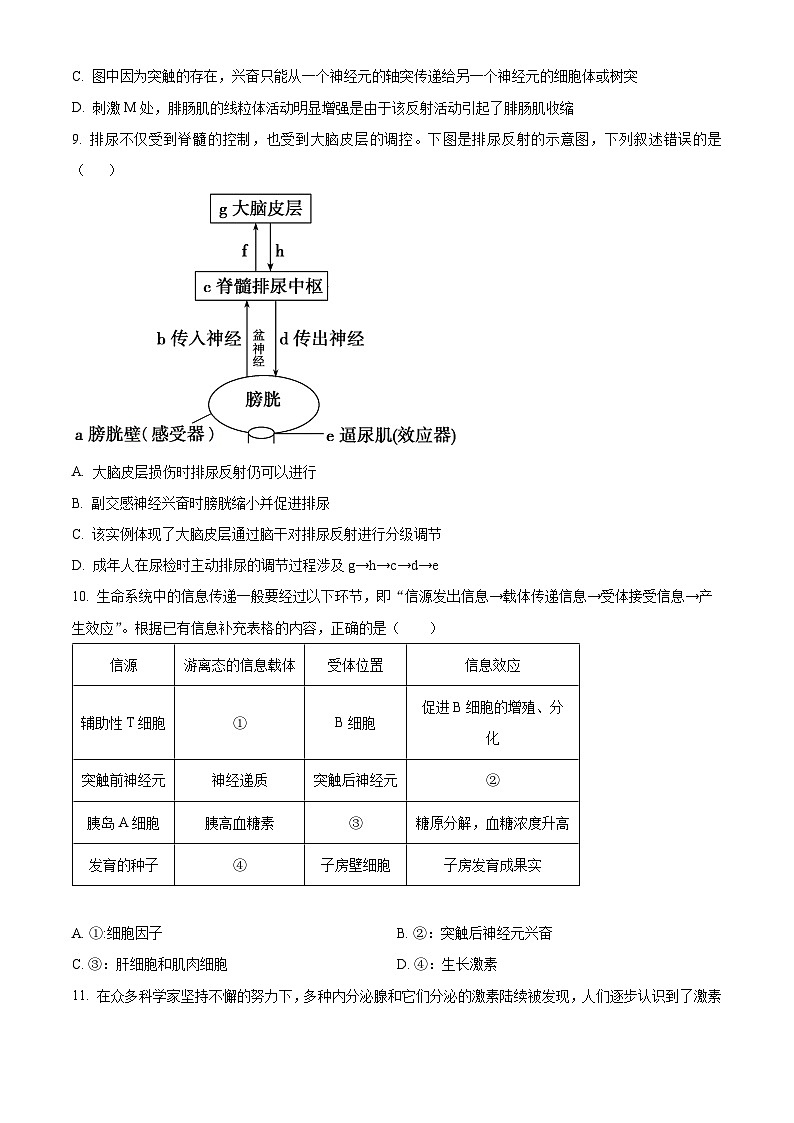 黑龙江省大庆市实验中学实验二部2024-2025学年高二上学期期中考试生物试卷 Word版无答案第3页