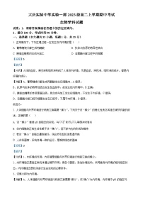 黑龙江省大庆市实验中学实验二部2024-2025学年高二上学期期中考试生物试题（Word版附解析）