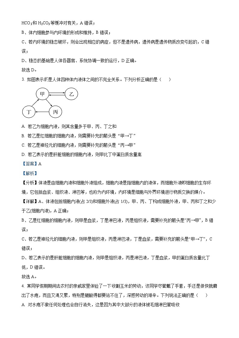 黑龙江省大庆市实验中学实验二部2024-2025学年高二上学期期中考试生物试卷 Word版含解析第2页