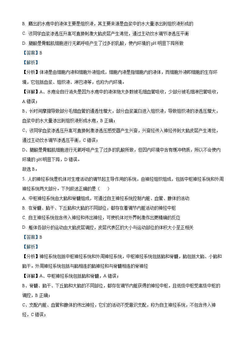 黑龙江省大庆市实验中学实验二部2024-2025学年高二上学期期中考试生物试卷 Word版含解析第3页