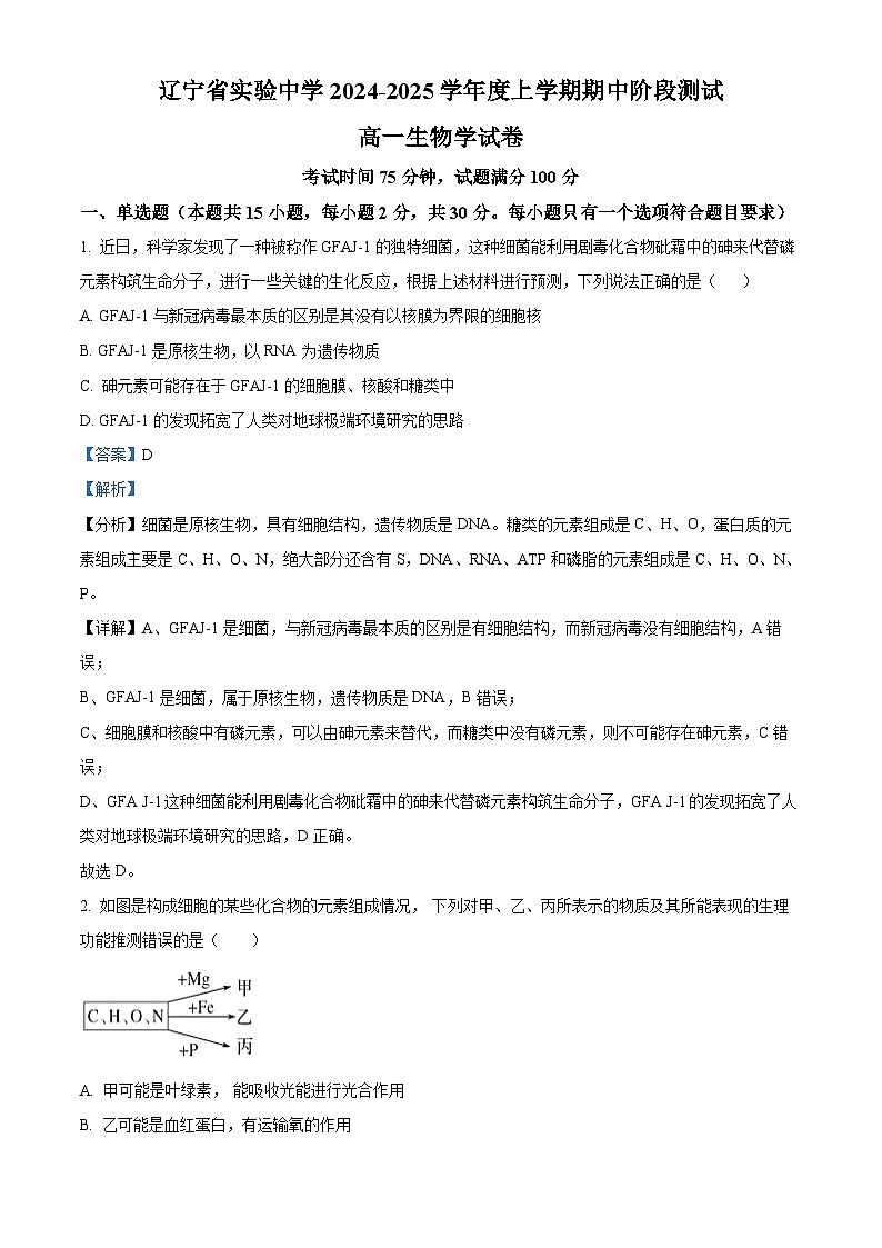 辽宁省实验中学2024-2025学年高一上学期期中考试生物试题 Word版含解析第1页